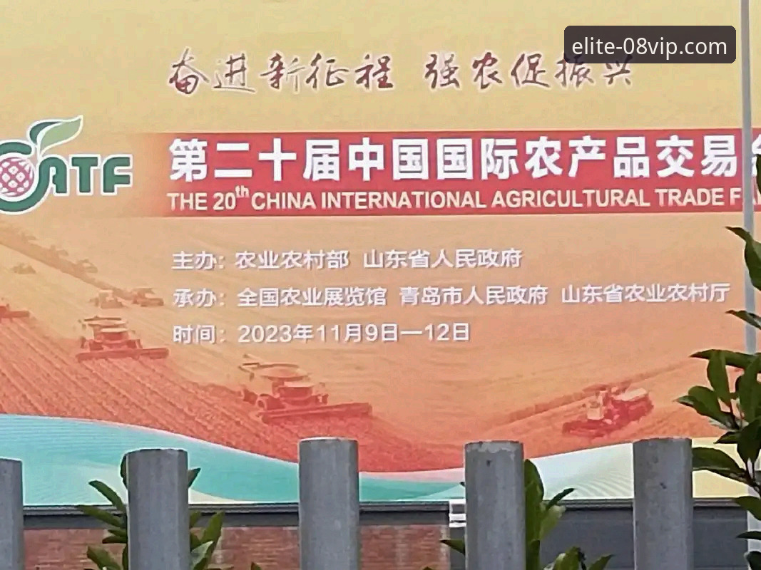 08vip体育平台下载实用指南：2026vip体育app官网下载必备知识与操作技巧