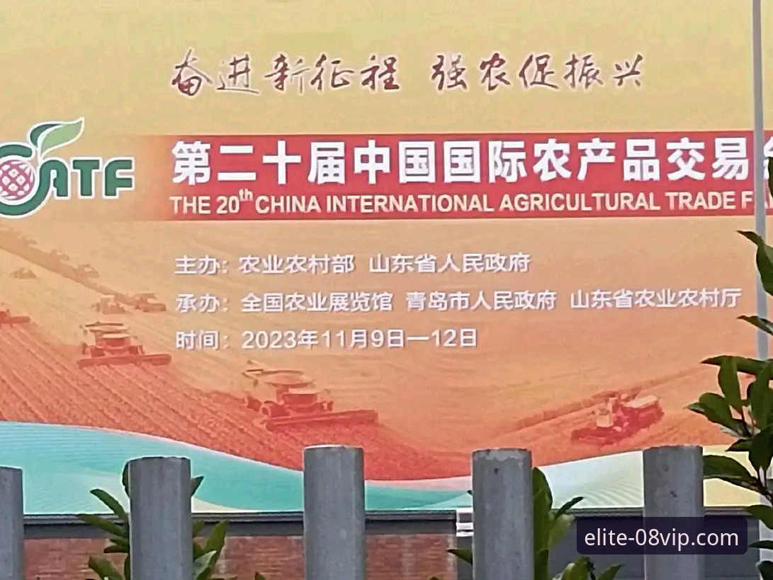 08vip体育平台：一款体育应用的多维度深度解析与下载指南